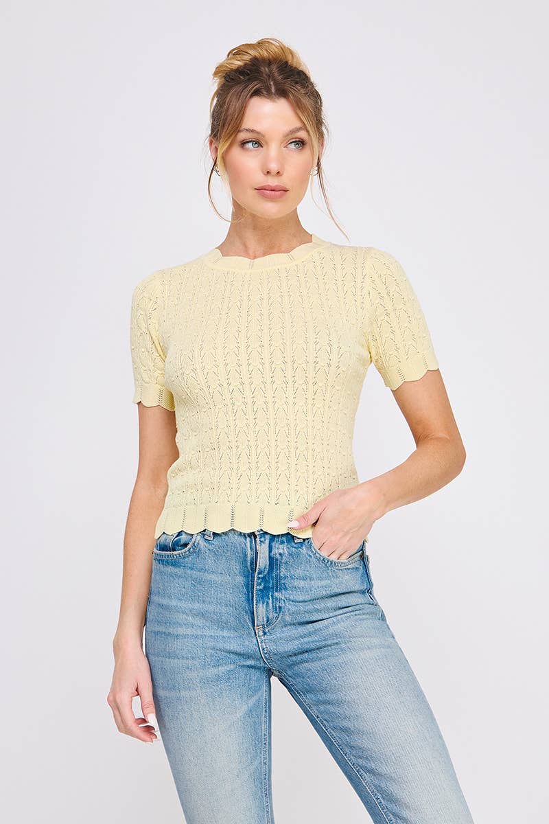 Butter Yellow Pointelle Knit Top