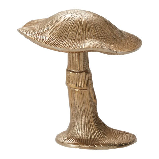 Gold Metal Lichen Mushroom