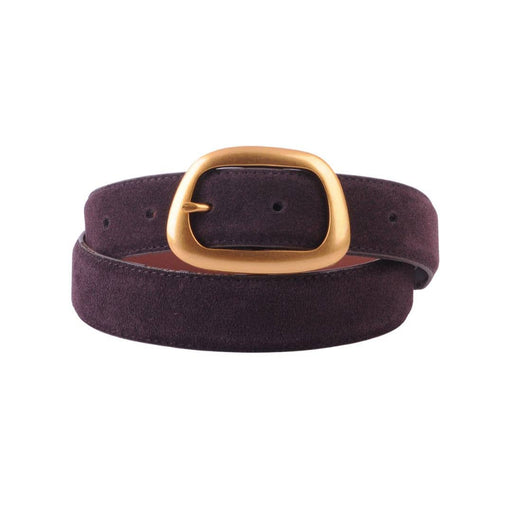 Chocolate Suede Belt With Organic Shape Buckle