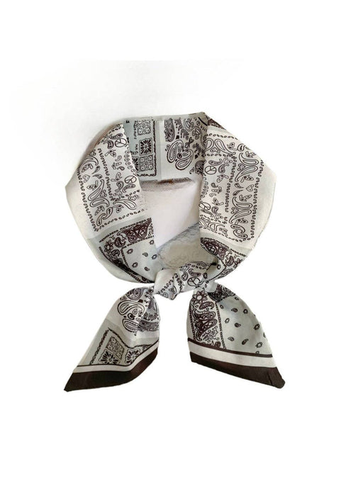 White French Elegance Vintage Paisley Slim Scarf