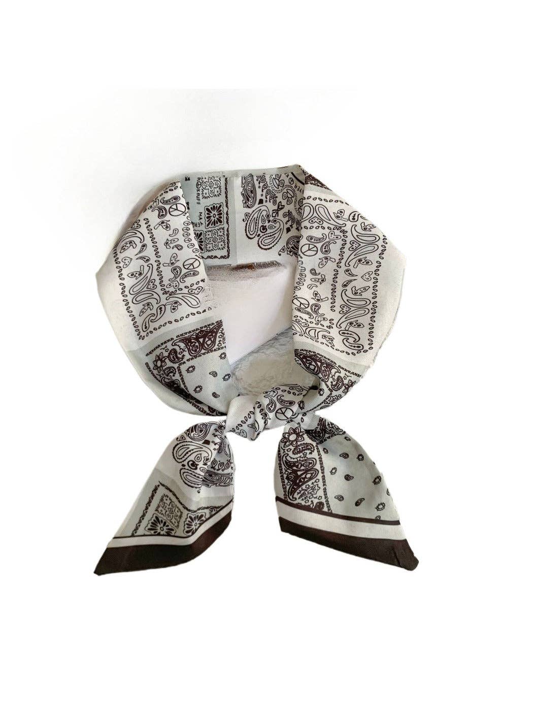 Brown French Elegance Vintage Paisley Slim Scarf