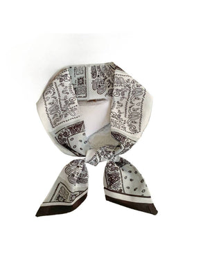 Brown French Elegance Vintage Paisley Slim Scarf