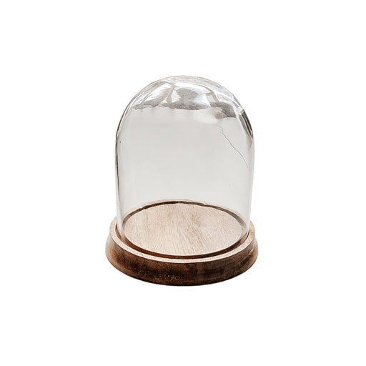 Glass Dome Cloche W/Natural Wood Base