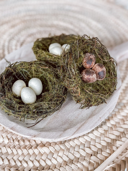 Little Birdie Nest w/ Eggs