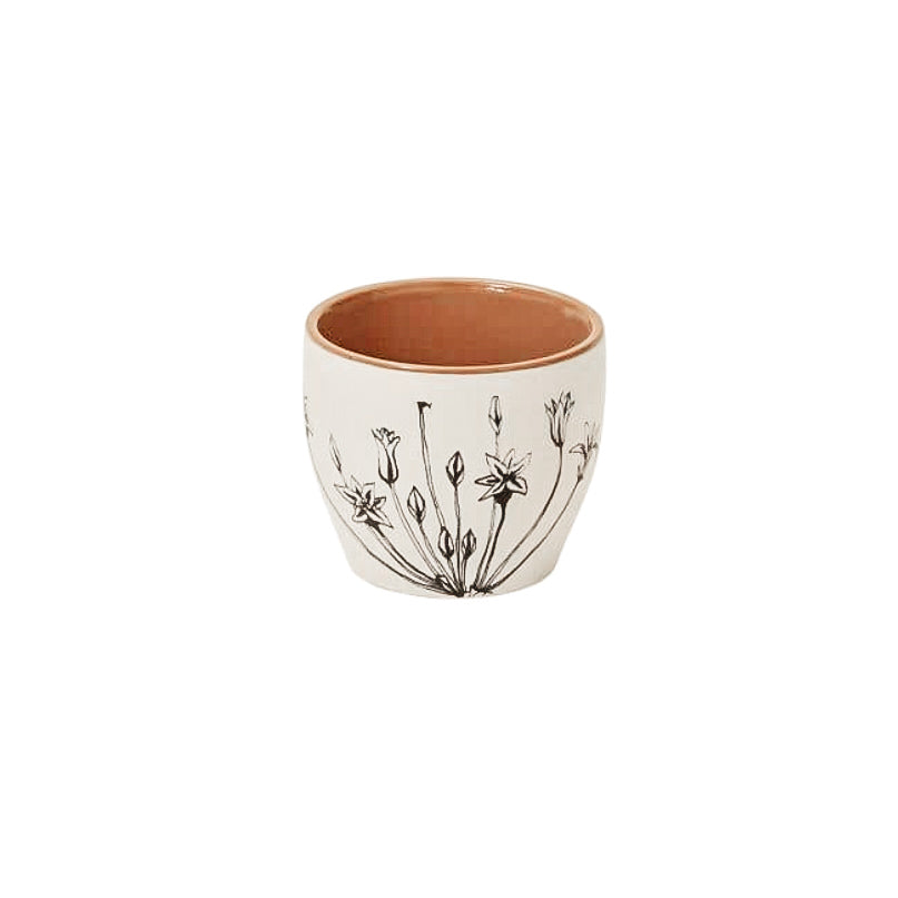Wisteria Teacup Allium
