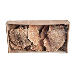 Dried Mushrooms In Box